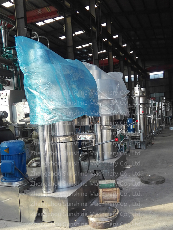 Peanut Animal Fat Almond Cold Press Oil Extraction Machine