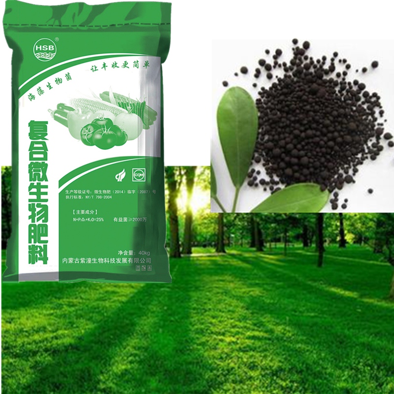 Organic Fertilizer/ NPK Fertilizer manufacture for agriculture