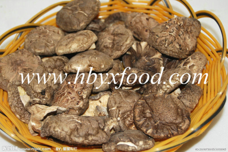 Famous and Good Quality Dried Smooth Shiitake Mushroom From China