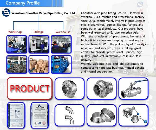 Sanitary Ss304 SMS DIN Clamp Union for Pipe Fittings