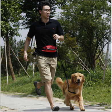 Hands Free Dog Leash with Waist Bag