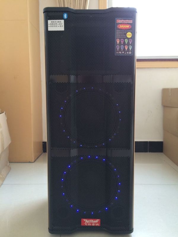 Bluetooth Professional Wireless DJ Speaker E230