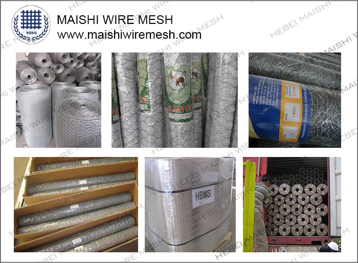 Electro Galvanized Hex-Shape Wire Mesh