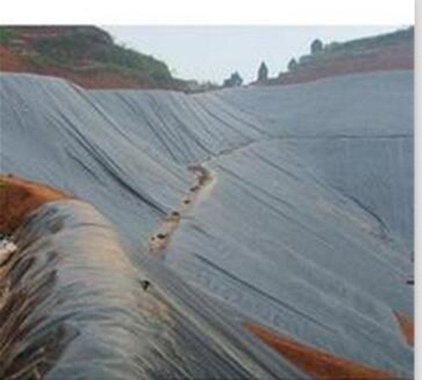 HDPE Geomembrane for Artificial Fish Pond