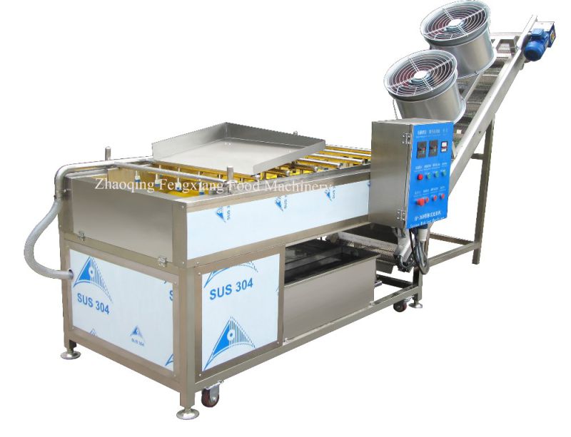 Automatical Fruit Washing and Drying Machine