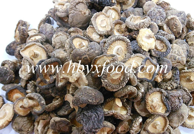 High Quality Natural Food Edible Dried Smooth Shiitake Mushroom with Halal Certificate