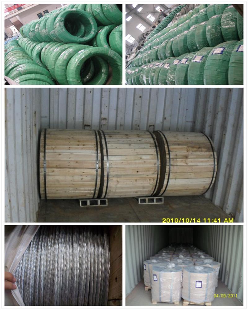 Stainless Wire Galvanized Steel Wire in Coil