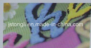 Chenille Embroidery Machine (TLM-612)