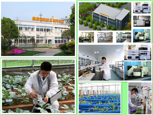 Foliar Fertilizer with High Content of Magnesium