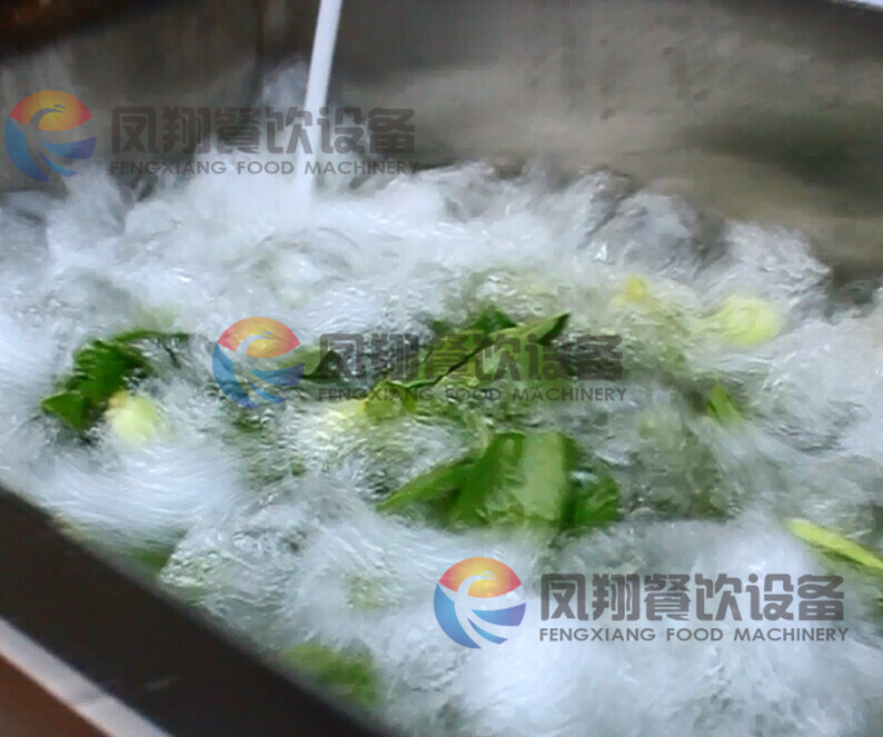 Wasc-10 Vegetable Washing Machine, Vegetable Cleaning Machine