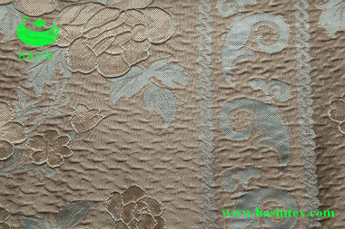 Jacquard Curtain Fabric and Sofa Fabric (BS1012)