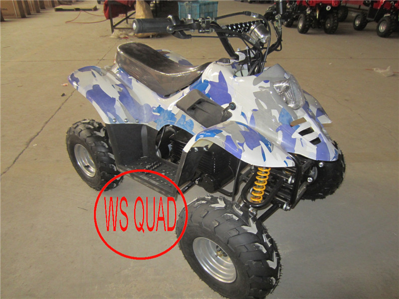 CE Approval 800W Adult Electric ATV, 9 Color Can Choose Electric ATV Quads