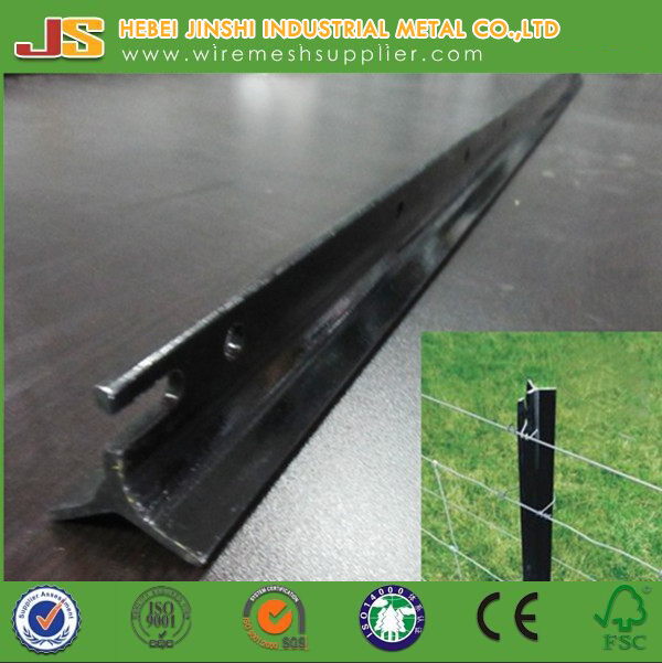 Hot Selling Heavy Duty 2.04kg/M Black Star Pickets for Australia Market