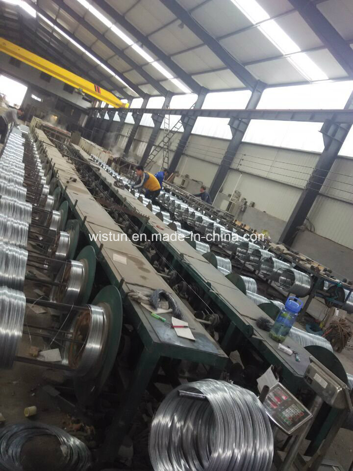 Galvanized Iron Wire for Binding Wire and Wire Mesh Fence in China Factory