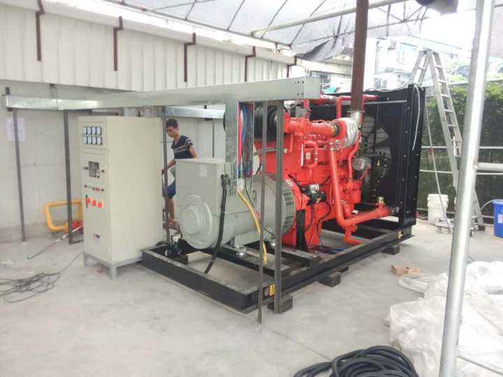 Low Cost High Quality 50kw/100kw/200kw Natural Gas Generator with Cummins Engine