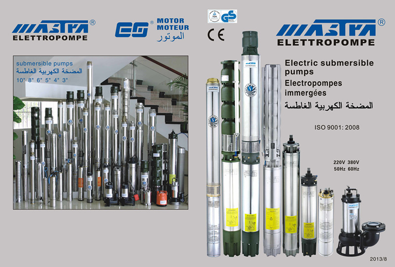 8' Submersible Pump (R200-Fe-100)