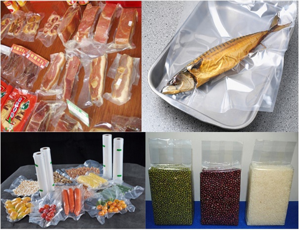 Vacuum Sealing Packing Machine for Fish and Meat