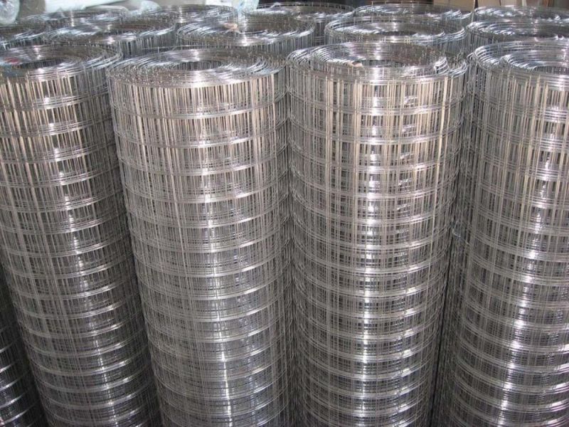 Stainless Steel Welded Wire Mesh1/2