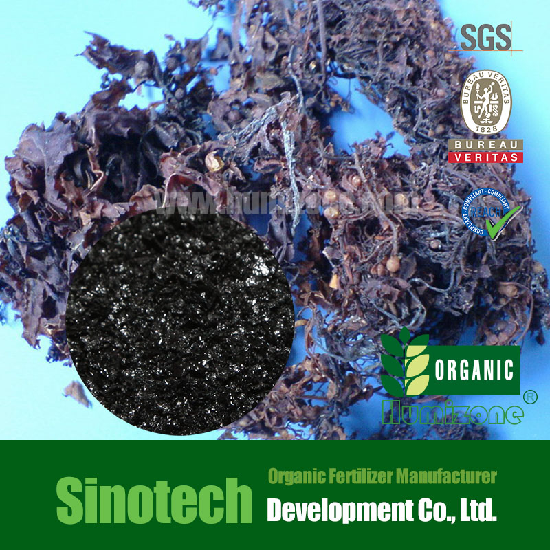 Humizone Seaweed Extract Flake (SWE-F)