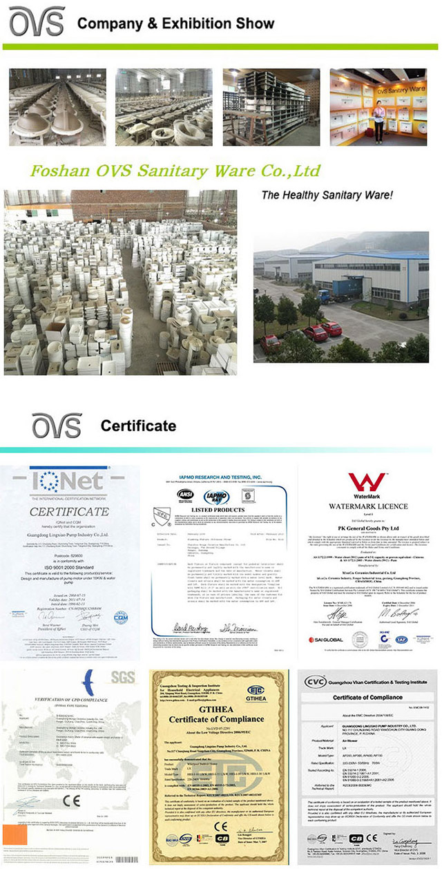 Ovs Foshan Sanitary Ware Building Materials Supplier Wc