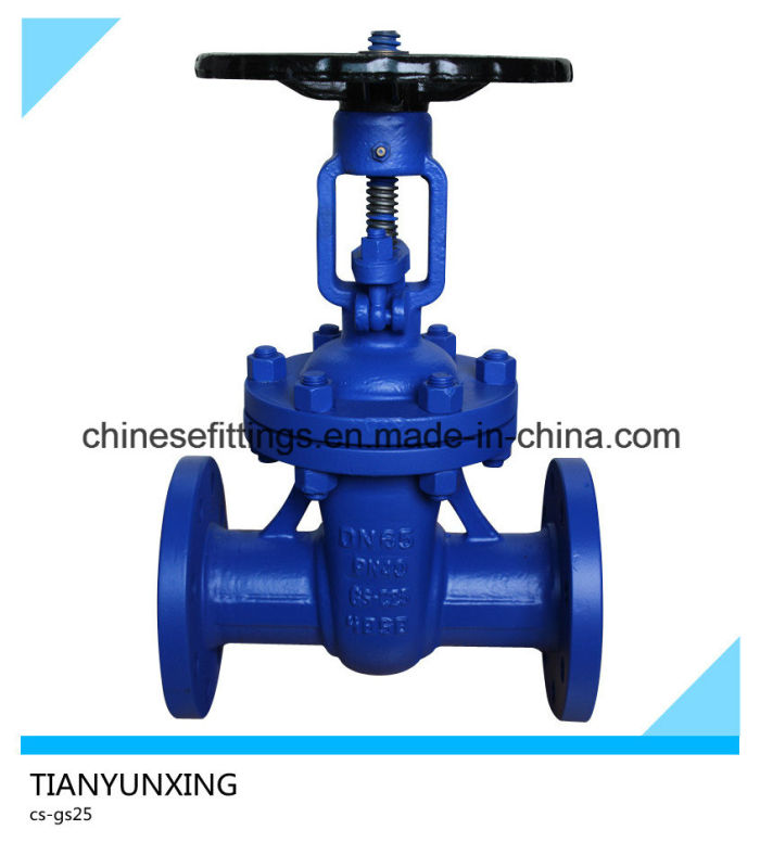 F5 F7 DIN En558 OS&Y Flanged Gate Valve (Industrial valve)