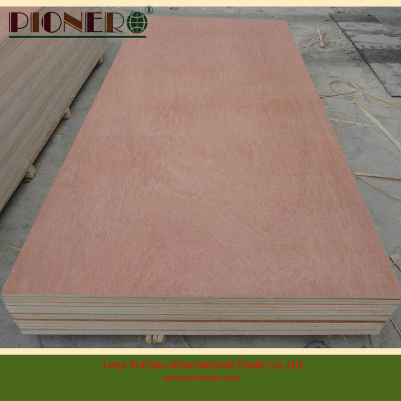 Bintangor Commercial Plywood Board with Combi Core for Middle East Market