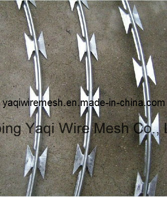 China Supplier Galvanized Razor Barbed Wire High Quality