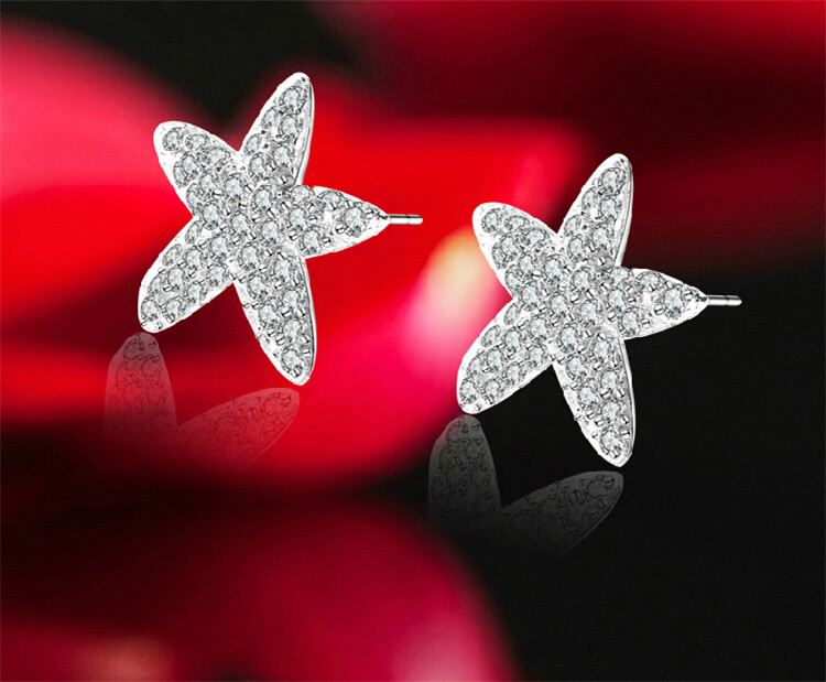 Destiny Jewellery Crystal From Swarovski Star Stud Earrings