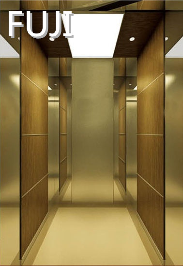 Golden Passenger Lift /Passenger Elevator)