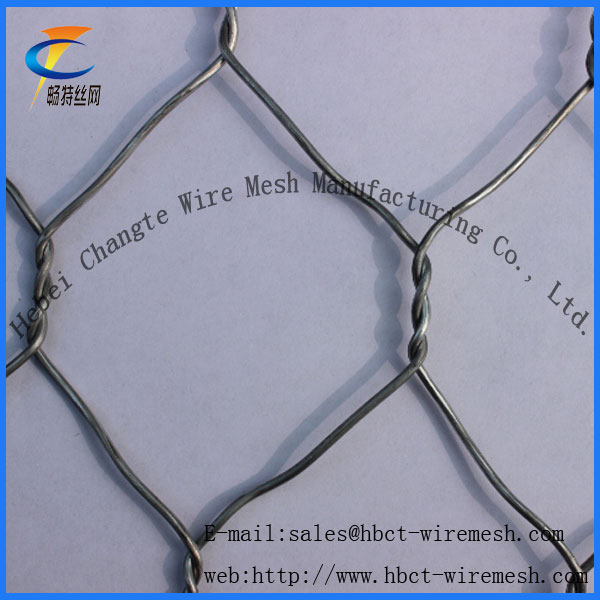 (PVC / Hot / Electric) Gabion Wire Mesh (6*8 8*10)