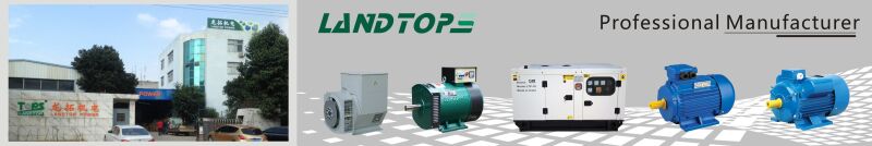 LANDTOP 220V 5kw 10kw ST series AC single phase Alternator Generator