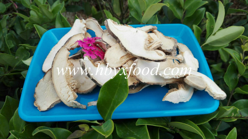 Dried Shiitake Mushroom Slice, Sliced Mushroom