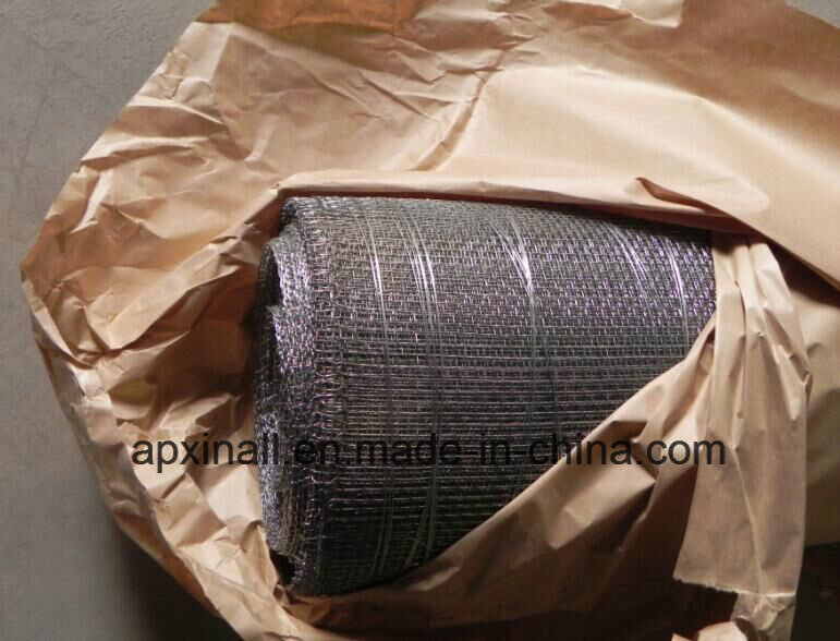 Galvanized Steel Crimped Wire Mesh (XA-CWM05)