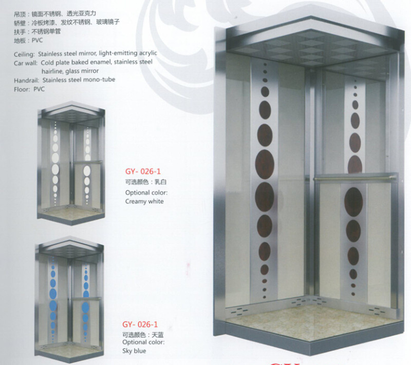 250kg, 320kg, 400kg Capacity Gearless Small Home Villa Elevator