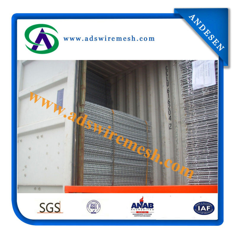 Galvanized Welded Wire Mesh Panel (ADS-WP-1)