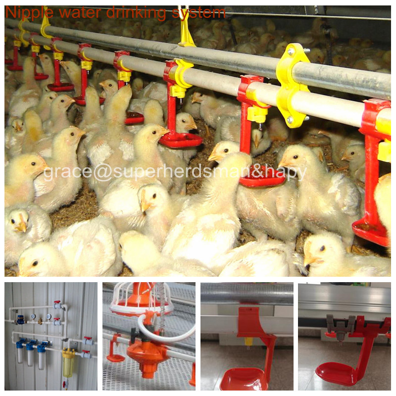 Automatic Chicken Drinking System for Poultry Shed