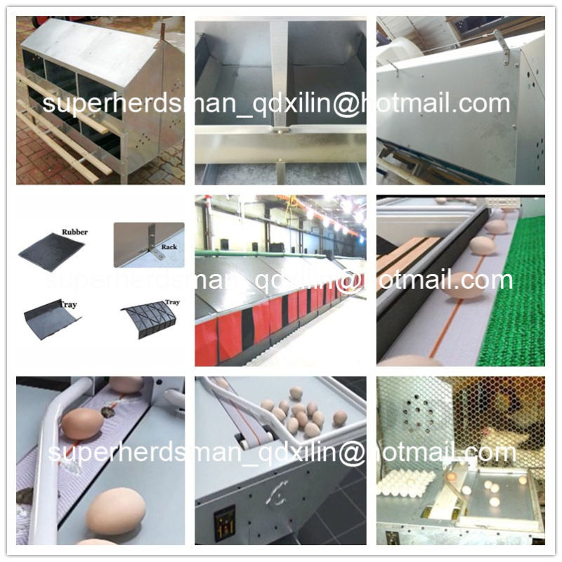 High Quality Automatic Poultry Equipment for Breeder House