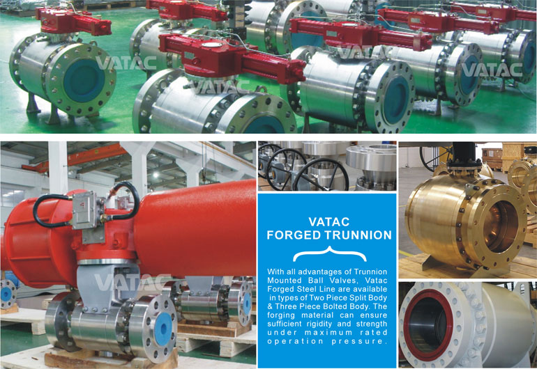 Cast & Forged Stainless Steel Industrial Mounted Trunnion Ball Valve with Flange RF or Bw Ends