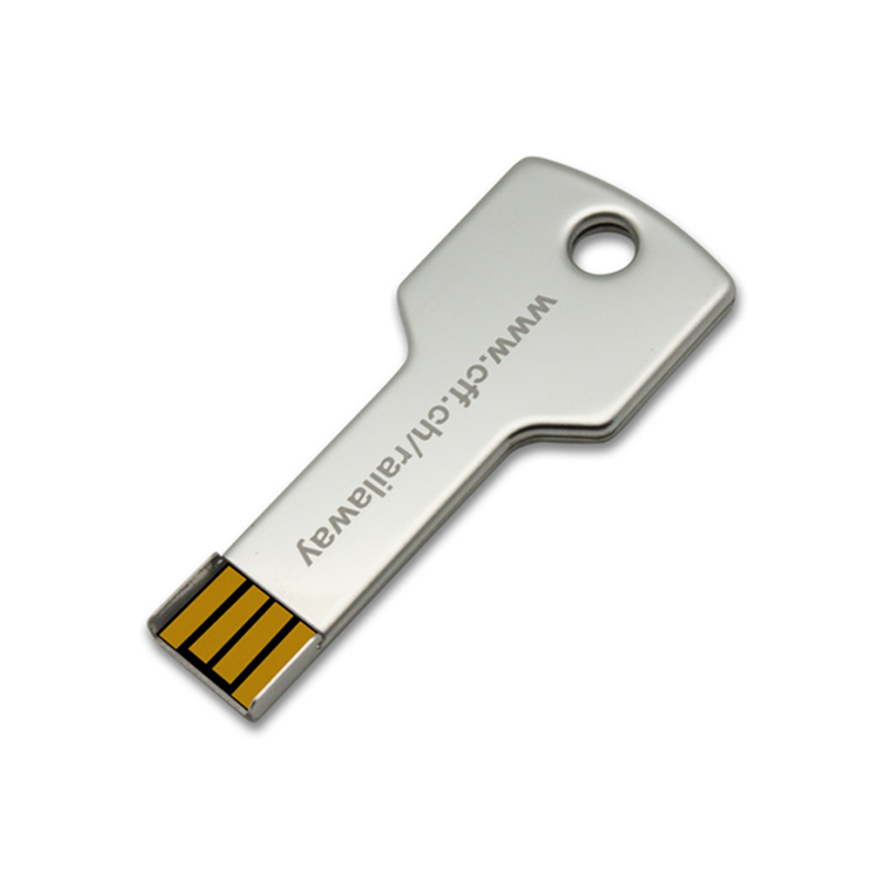 Key Shape USB Flash Drive with Free OEM Service