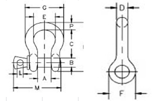 Us Type D Shackle with Screw Pin 209 Dr-Z0080