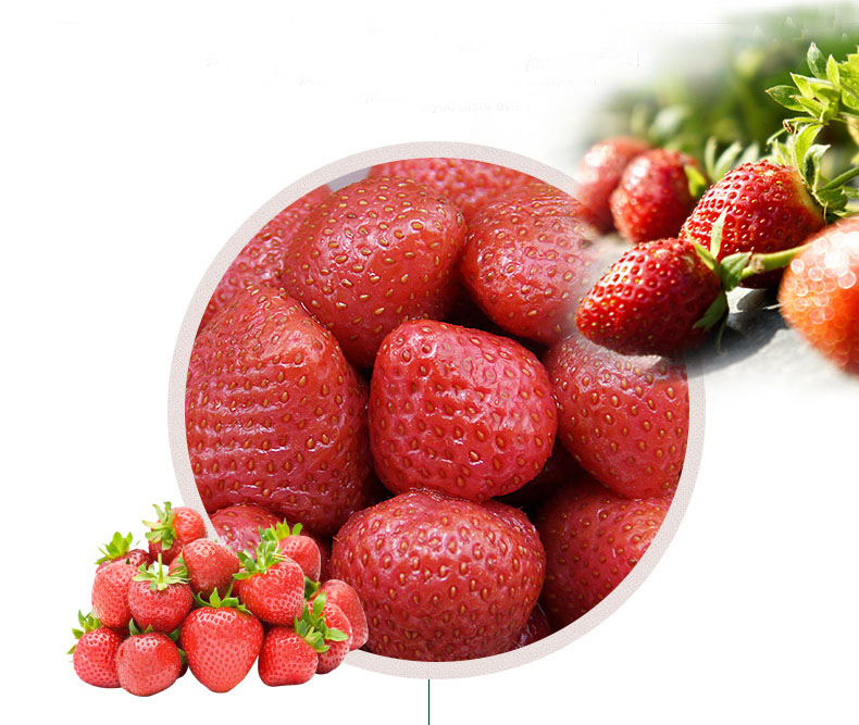 Hot Selling Canned Strawberry with Best Quality