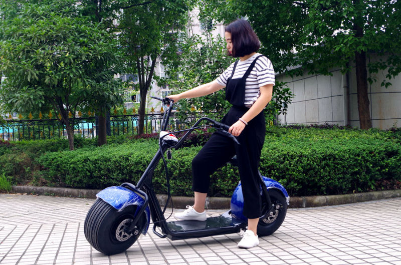 2016 Hot Sale City Coco Electric Scooter (JY-ES005)