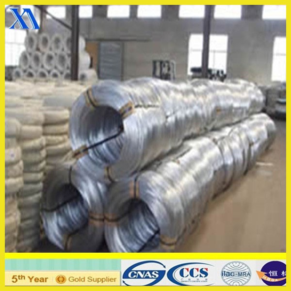 Hot Dipped Galvanized Wire with 60g Coating (XA-GW007)