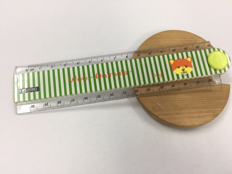 Animal Cute Flexible Ruler for Office Stationery