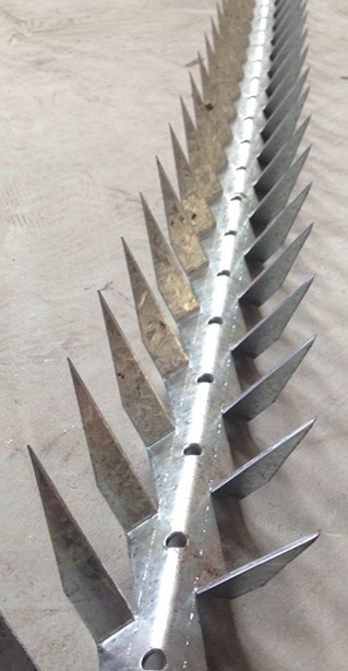 Hot Galv. Barbed Wire Fence/Barbed Wire Razor Wire Mesh Wall Spike