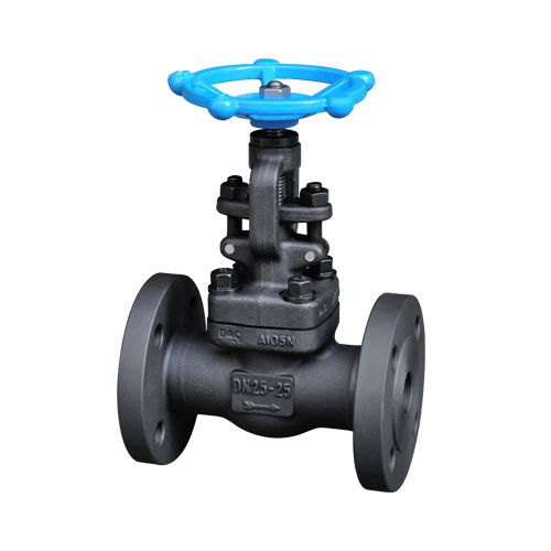 Forged Flange Globe Valve (1/2