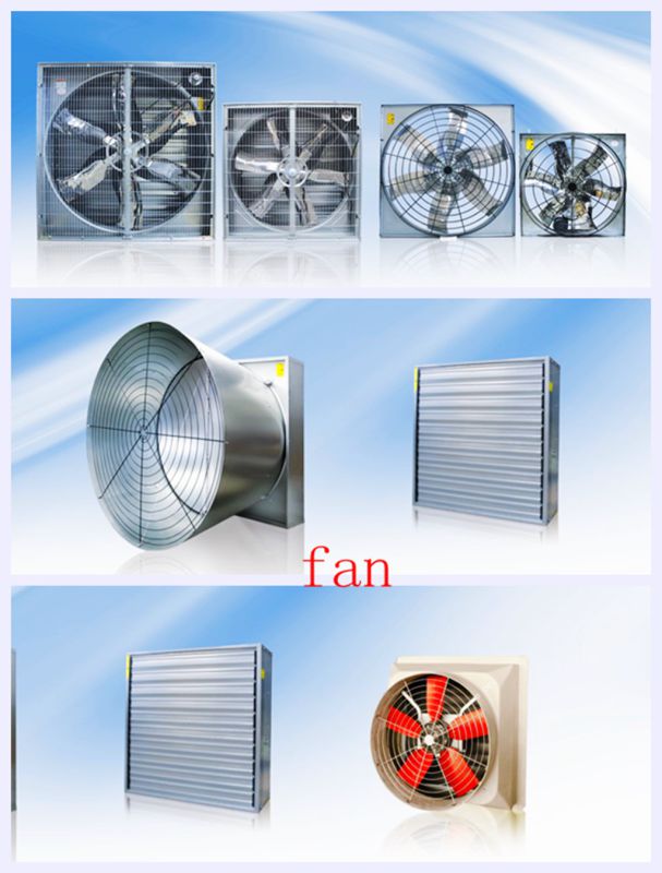Poultry House Equipment From Super Herdsman in Low Price
