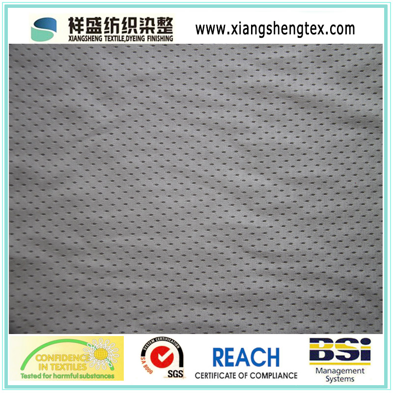 11X1 FDY Eyelet Mesh Fabric