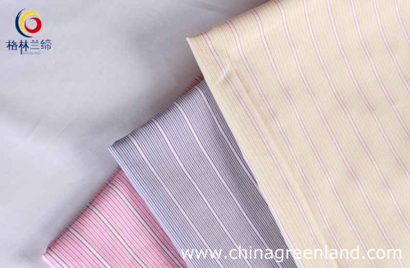 100%Cotton Yarn Dyed Stripe Fabric with Mercerized Finishing