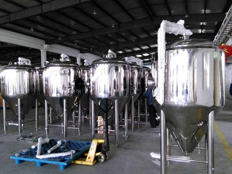 Stainless Steel Beer Fermenter for Brewing system